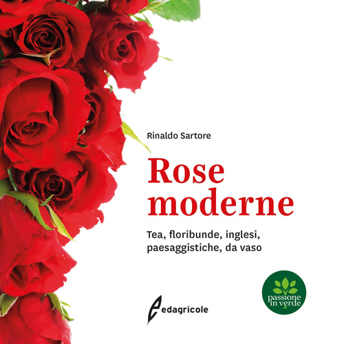 Libro Rose Moderne Copertina